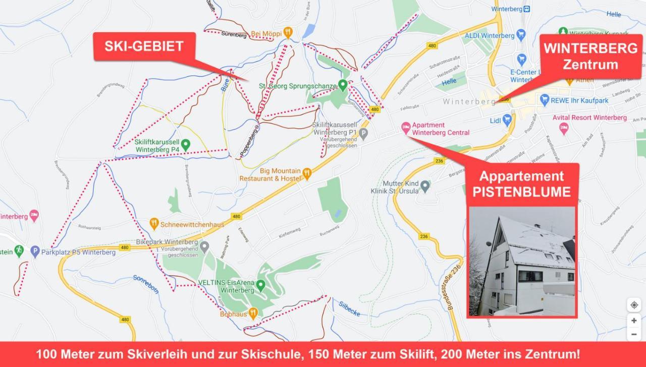 Pistenblume Apartment - Skipiste, Stadtzentrum Winterberg Dış mekan fotoğraf