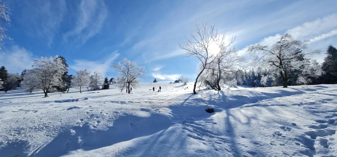 Pistenblume Apartment - Skipiste, Stadtzentrum Winterberg Dış mekan fotoğraf