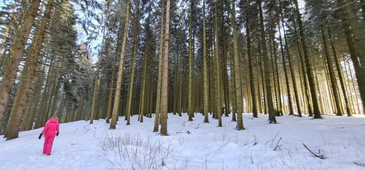 Pistenblume Apartment - Skipiste, Stadtzentrum Winterberg Dış mekan fotoğraf