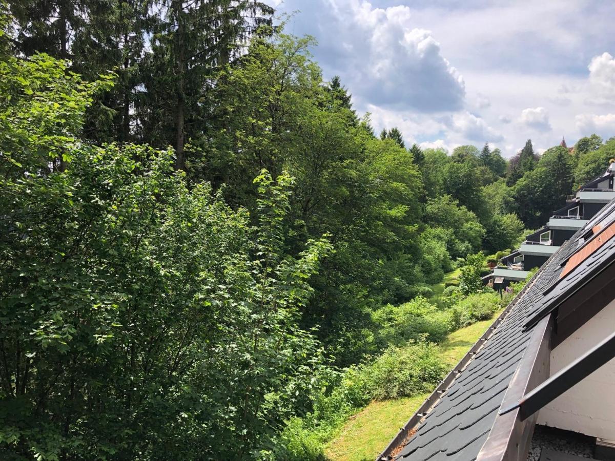 Pistenblume Apartment - Skipiste, Stadtzentrum Winterberg Dış mekan fotoğraf